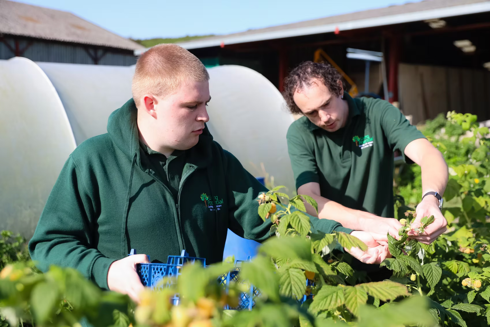 Working in the allotment at Living Potential