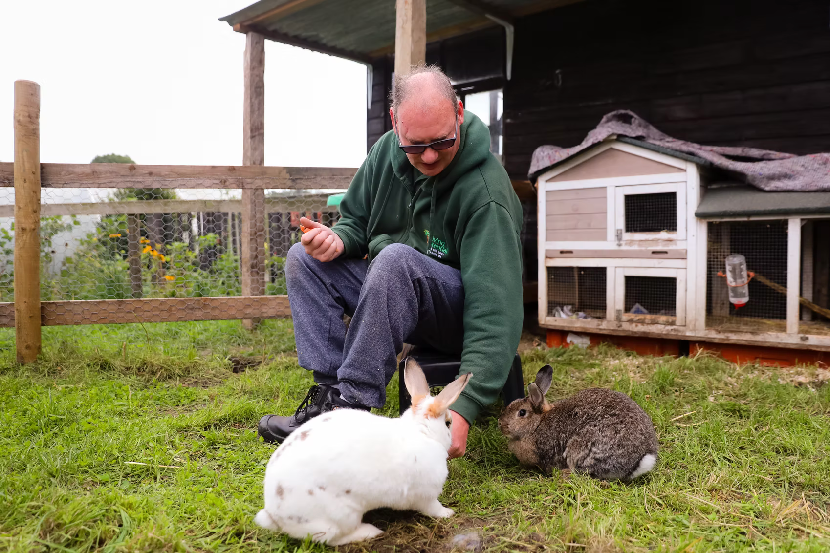 Imagery of spending time with the rabbits